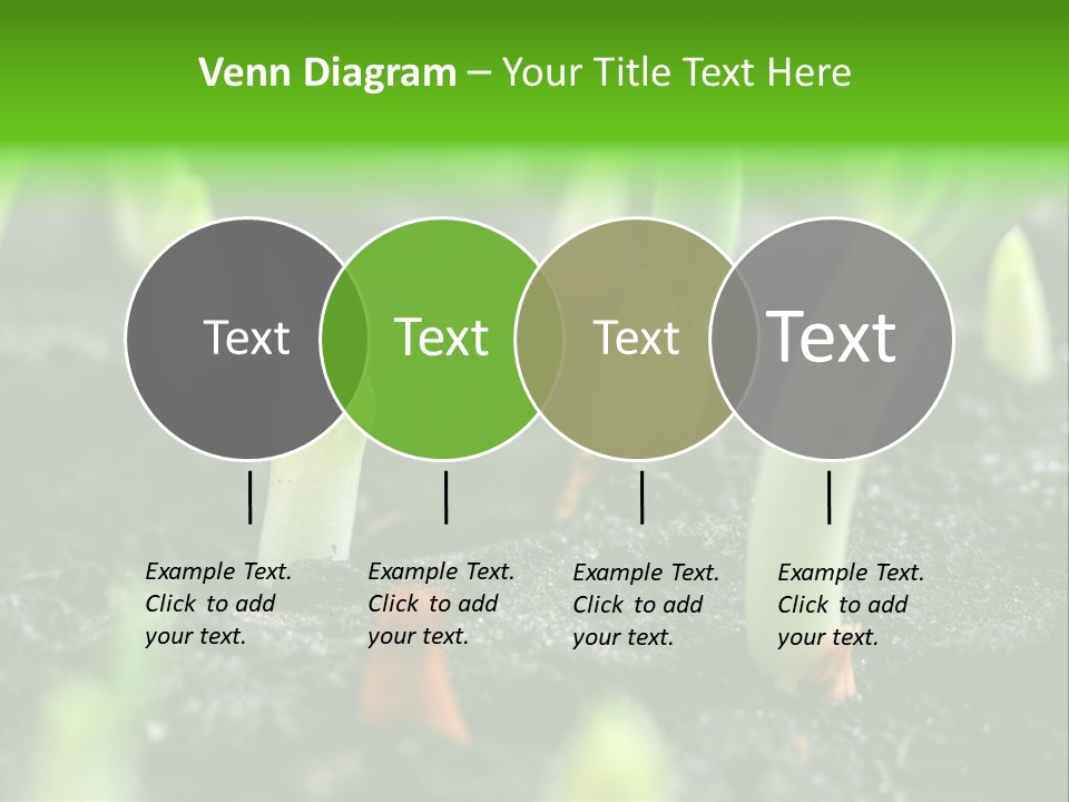 A Group Of Green Sprouts Growing From The Ground PowerPoint Template