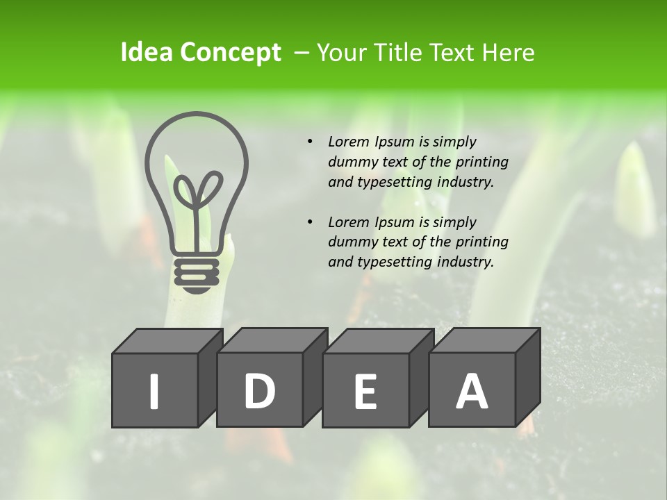 A Group Of Green Sprouts Growing From The Ground PowerPoint Template