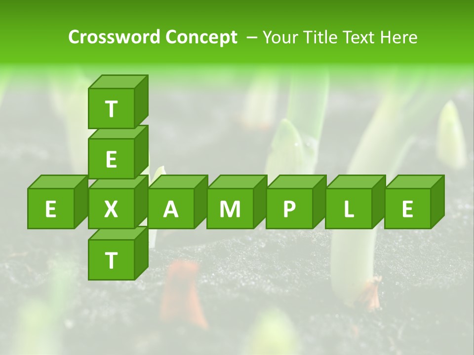 A Group Of Green Sprouts Growing From The Ground PowerPoint Template