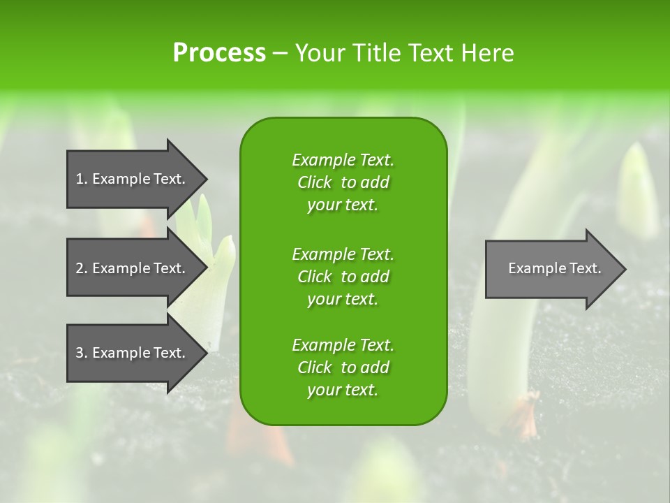 A Group Of Green Sprouts Growing From The Ground PowerPoint Template
