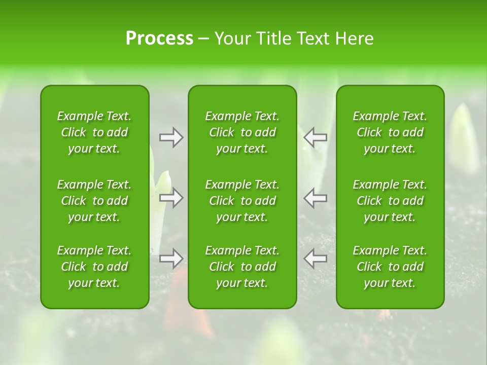 A Group Of Green Sprouts Growing From The Ground PowerPoint Template