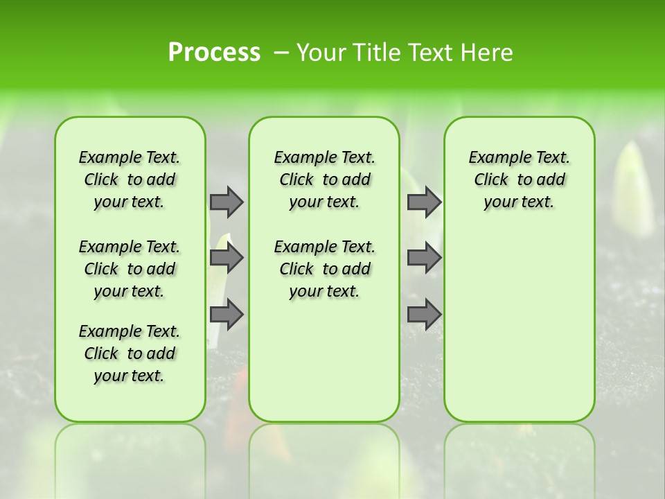 A Group Of Green Sprouts Growing From The Ground PowerPoint Template