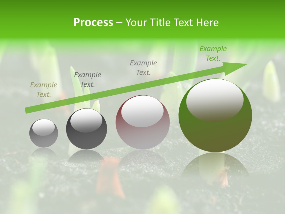 A Group Of Green Sprouts Growing From The Ground PowerPoint Template