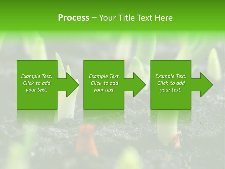 A Group Of Green Sprouts Growing From The Ground PowerPoint Template