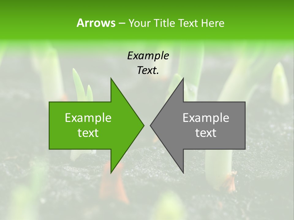 A Group Of Green Sprouts Growing From The Ground PowerPoint Template