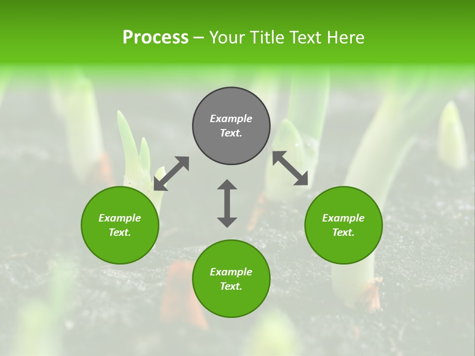 A Group Of Green Sprouts Growing From The Ground PowerPoint Template