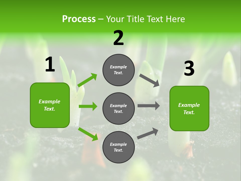 A Group Of Green Sprouts Growing From The Ground PowerPoint Template