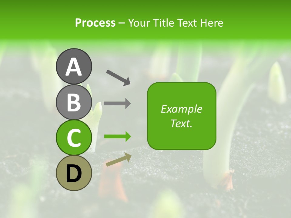 A Group Of Green Sprouts Growing From The Ground PowerPoint Template