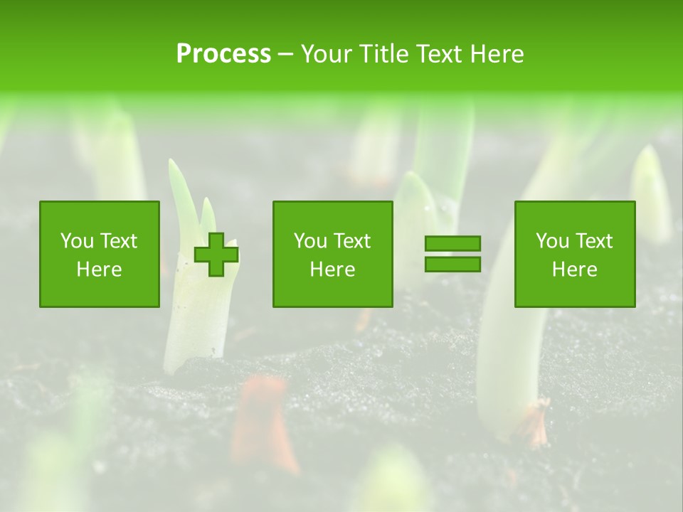 A Group Of Green Sprouts Growing From The Ground PowerPoint Template