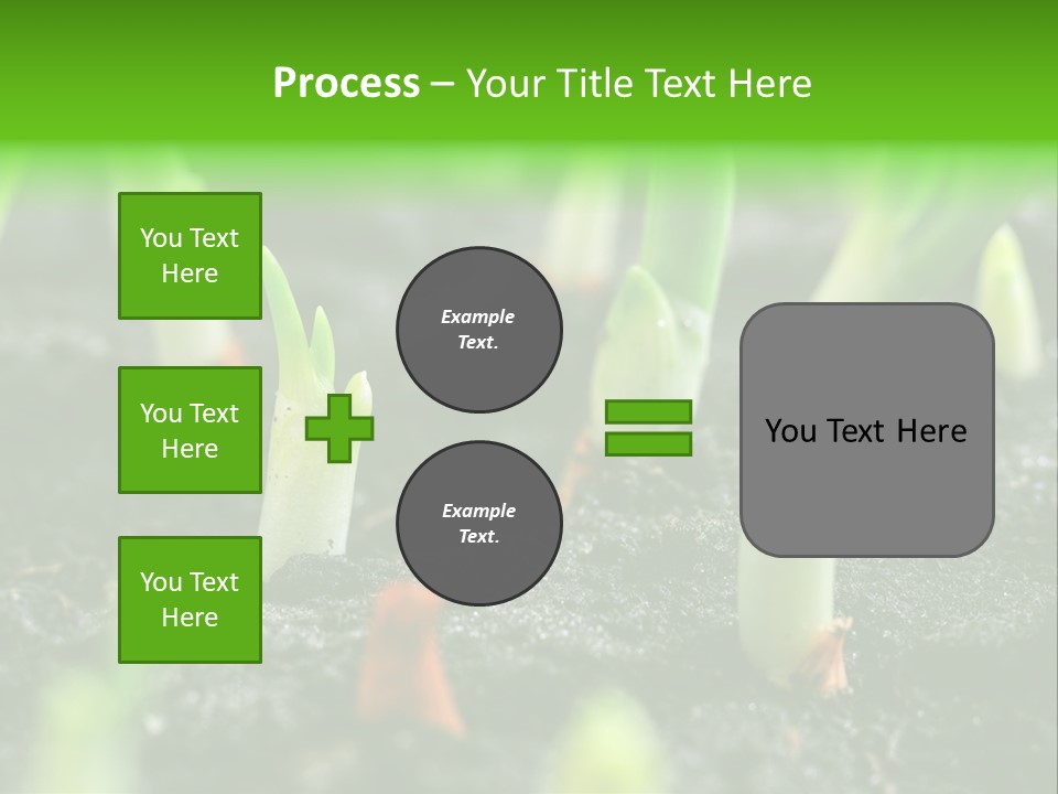 A Group Of Green Sprouts Growing From The Ground PowerPoint Template