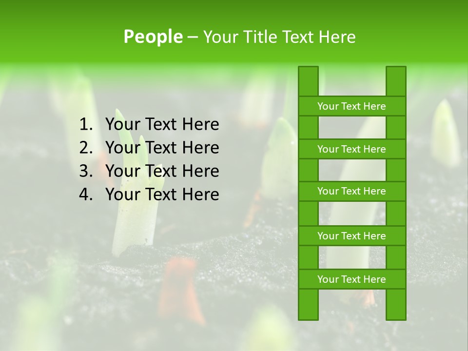 A Group Of Green Sprouts Growing From The Ground PowerPoint Template