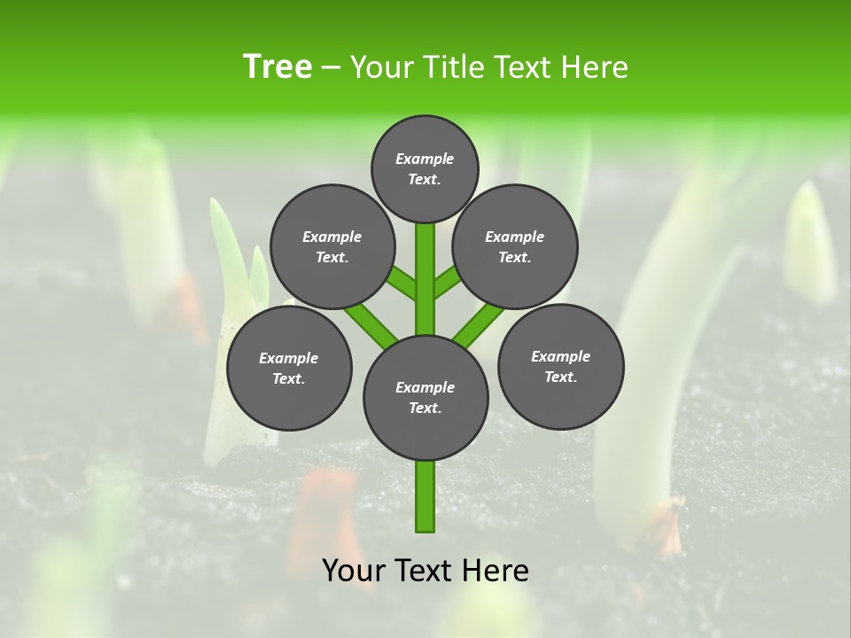A Group Of Green Sprouts Growing From The Ground PowerPoint Template