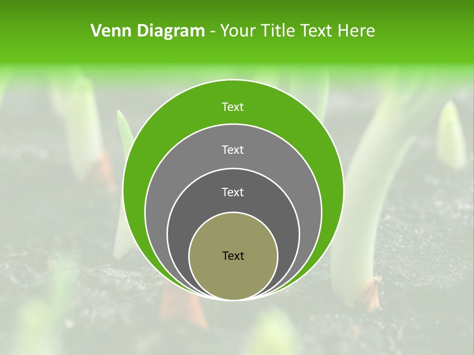 A Group Of Green Sprouts Growing From The Ground PowerPoint Template
