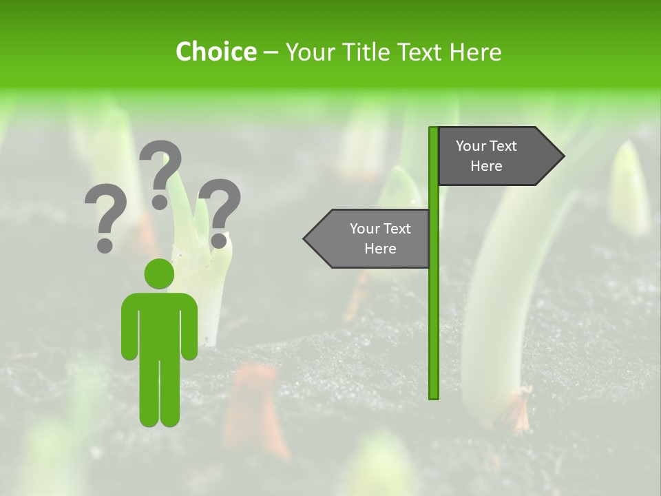 A Group Of Green Sprouts Growing From The Ground PowerPoint Template
