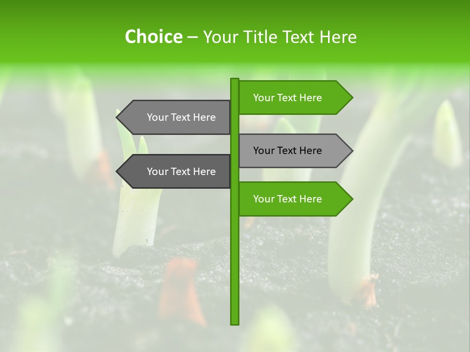 A Group Of Green Sprouts Growing From The Ground PowerPoint Template