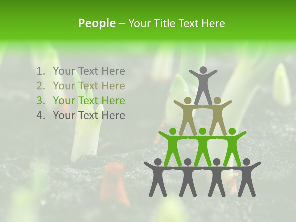 A Group Of Green Sprouts Growing From The Ground PowerPoint Template