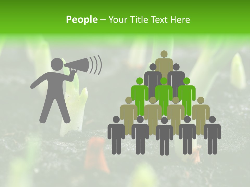 A Group Of Green Sprouts Growing From The Ground PowerPoint Template