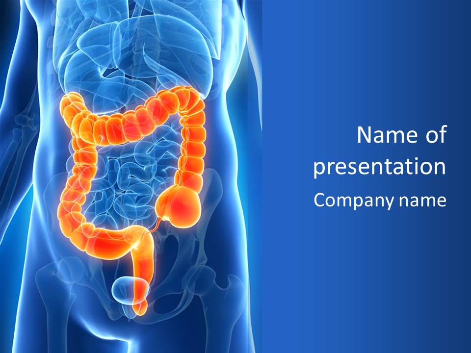 Health Bowel Science PowerPoint Template