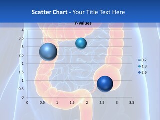 Health Bowel Science PowerPoint Template