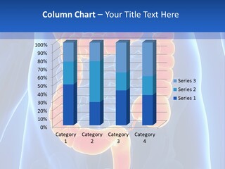 Health Bowel Science PowerPoint Template