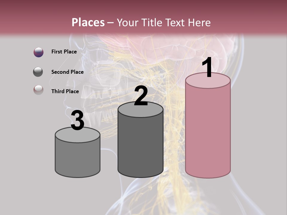 Rebound Head Megrim PowerPoint Template