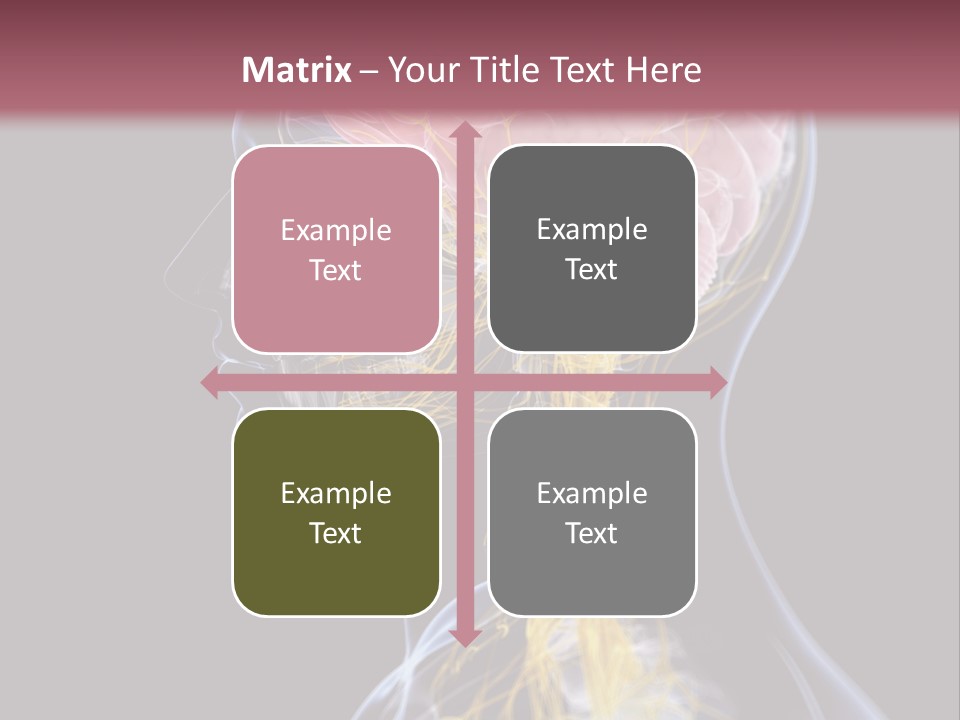 Rebound Head Megrim PowerPoint Template