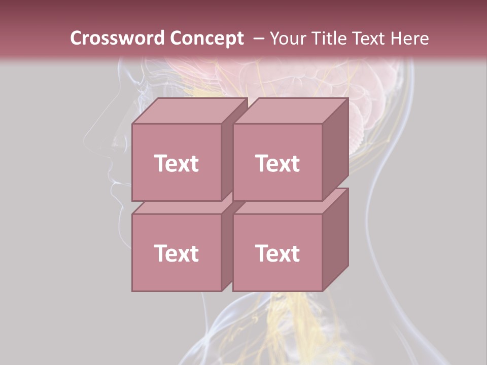 Rebound Head Megrim PowerPoint Template