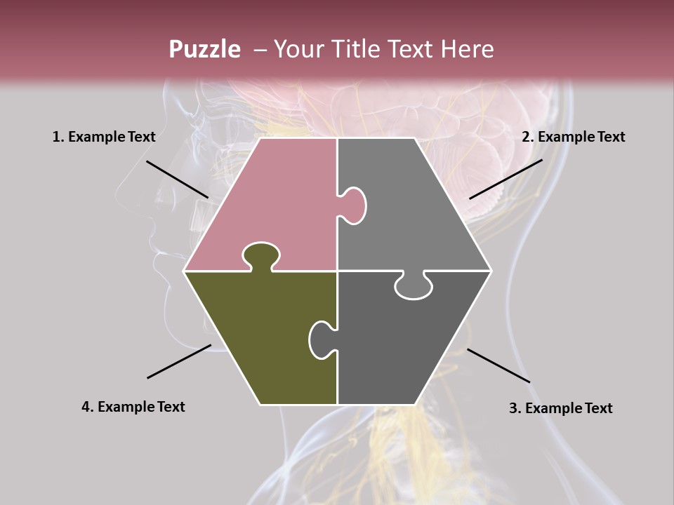 Rebound Head Megrim PowerPoint Template