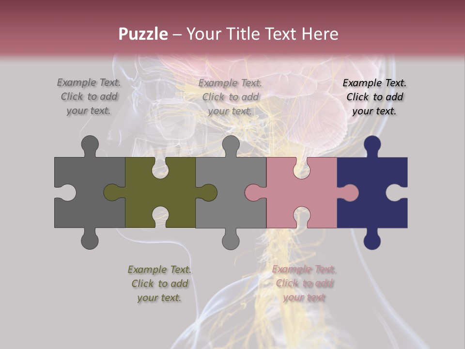 Rebound Head Megrim PowerPoint Template