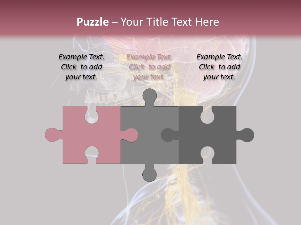 Rebound Head Megrim PowerPoint Template