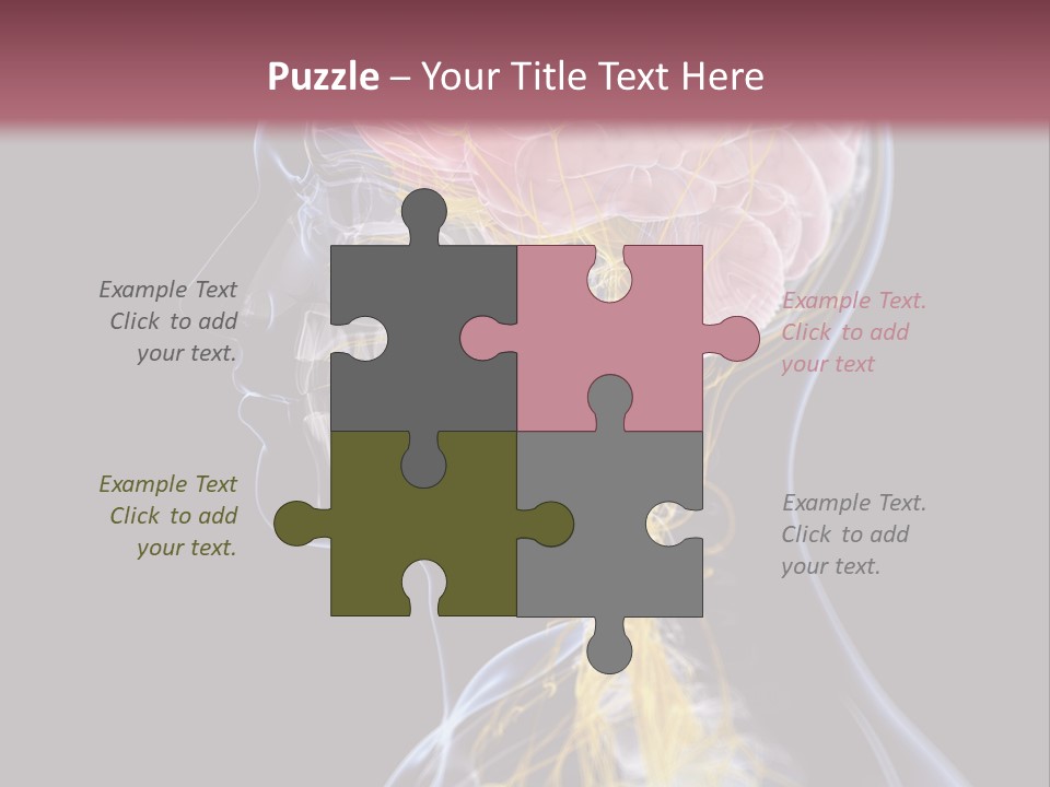 Rebound Head Megrim PowerPoint Template