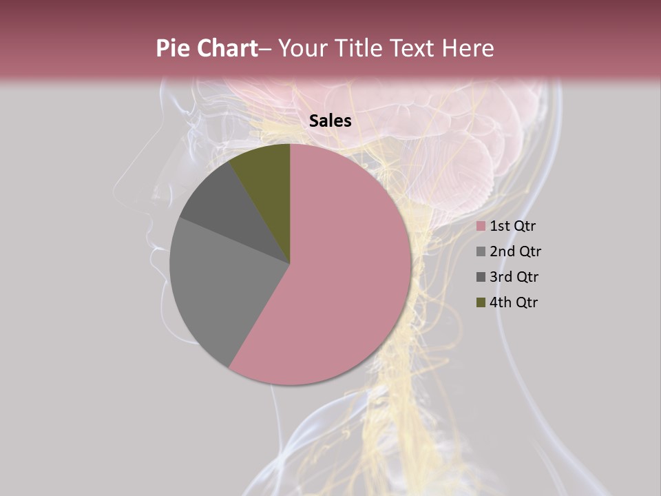 Rebound Head Megrim PowerPoint Template