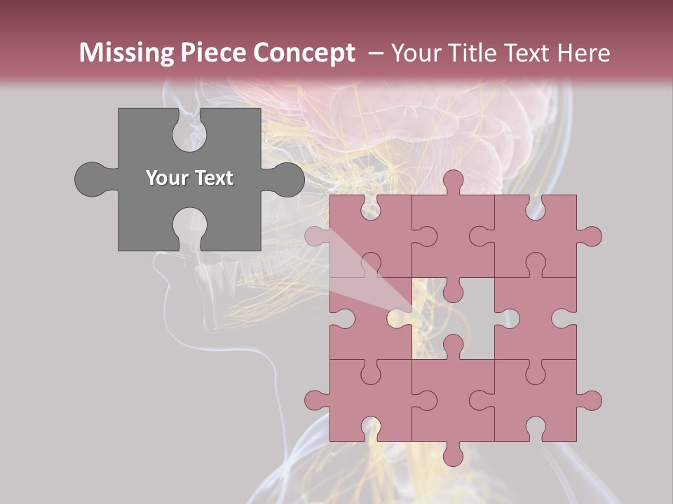 Rebound Head Megrim PowerPoint Template