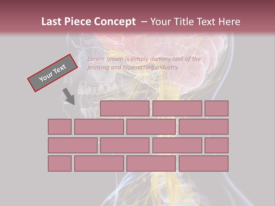 Rebound Head Megrim PowerPoint Template