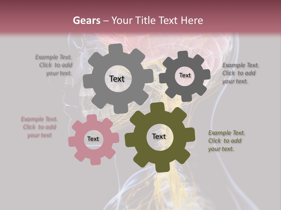 Rebound Head Megrim PowerPoint Template