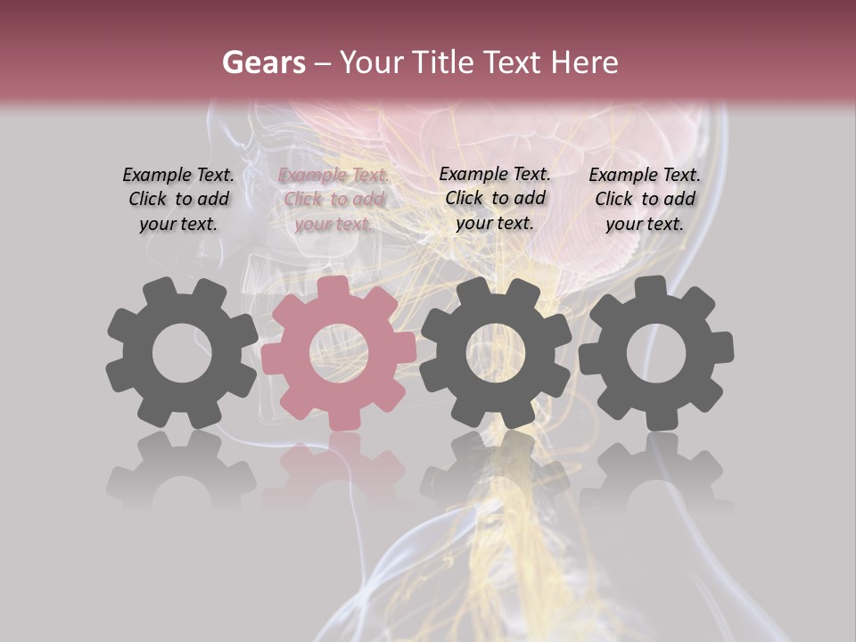 Rebound Head Megrim PowerPoint Template