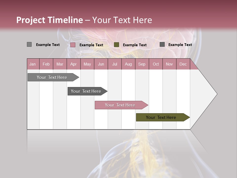 Rebound Head Megrim PowerPoint Template