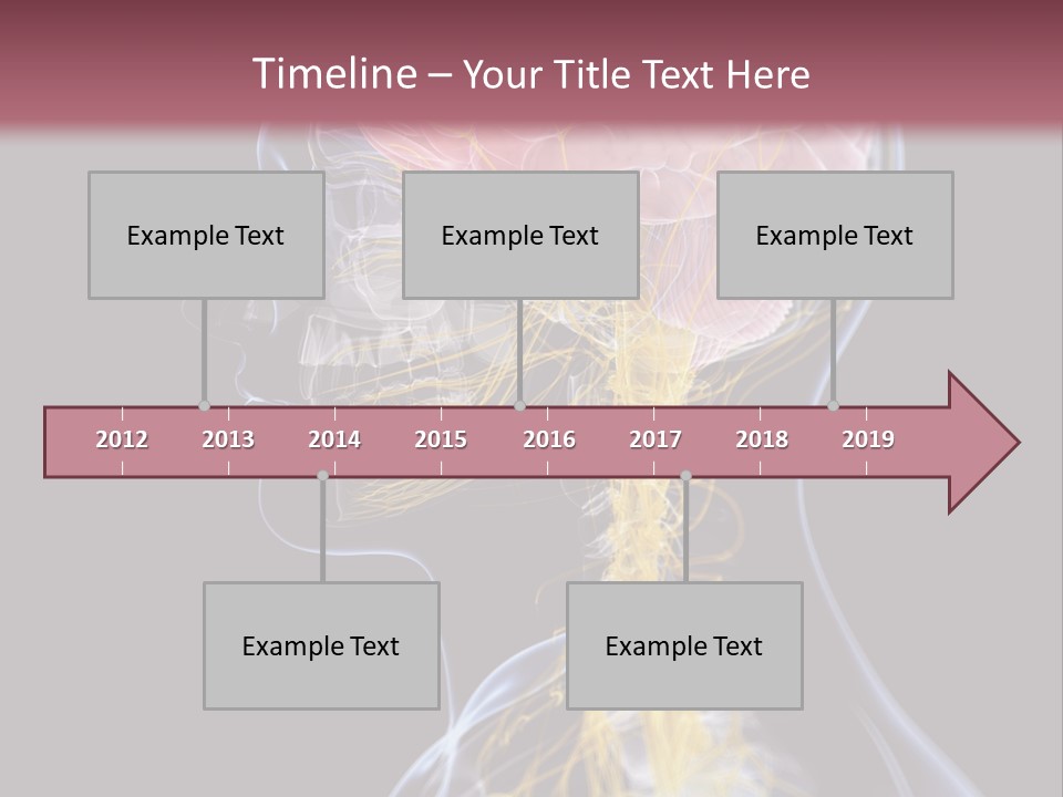 Rebound Head Megrim PowerPoint Template