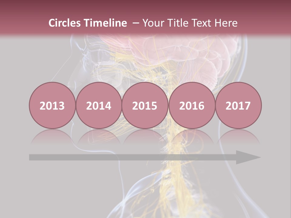 Rebound Head Megrim PowerPoint Template