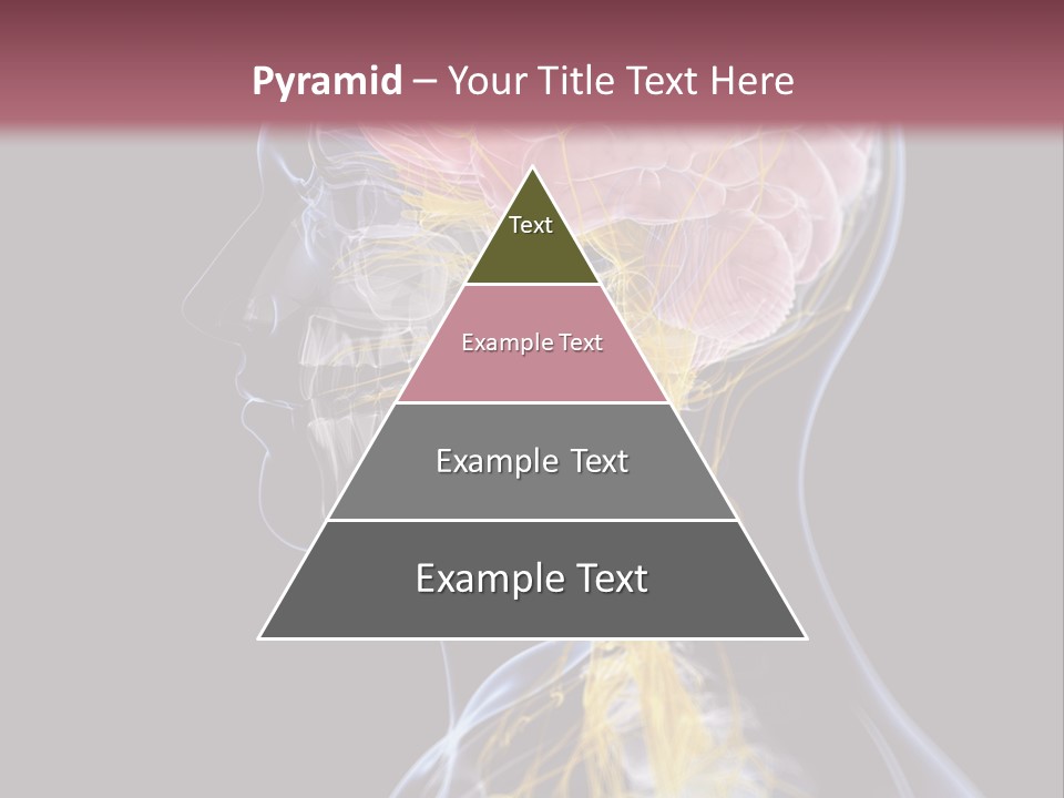 Rebound Head Megrim PowerPoint Template