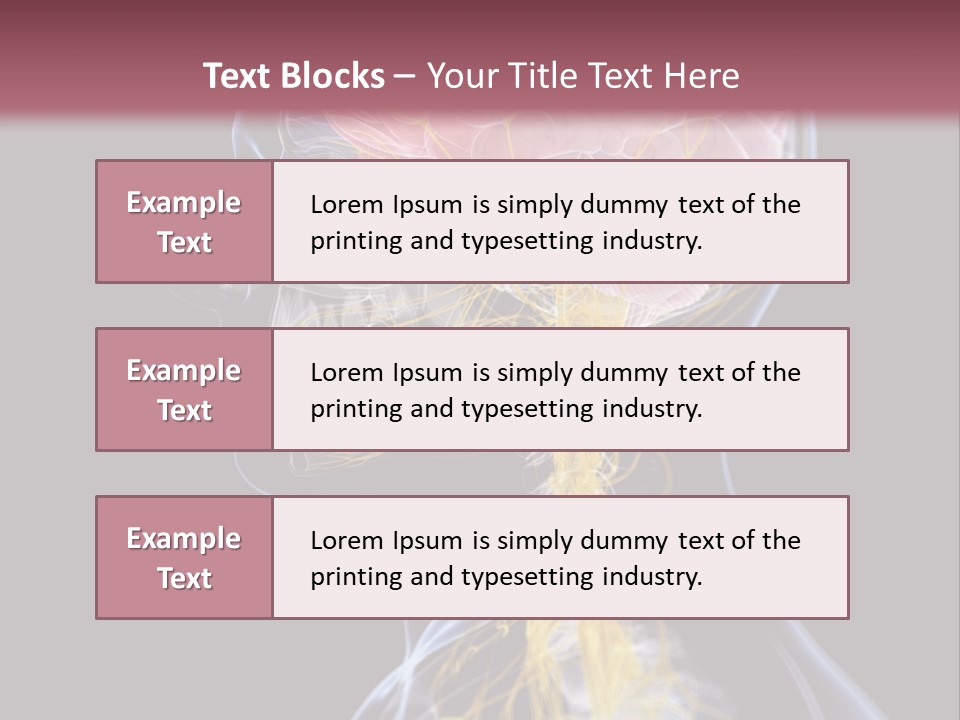 Rebound Head Megrim PowerPoint Template