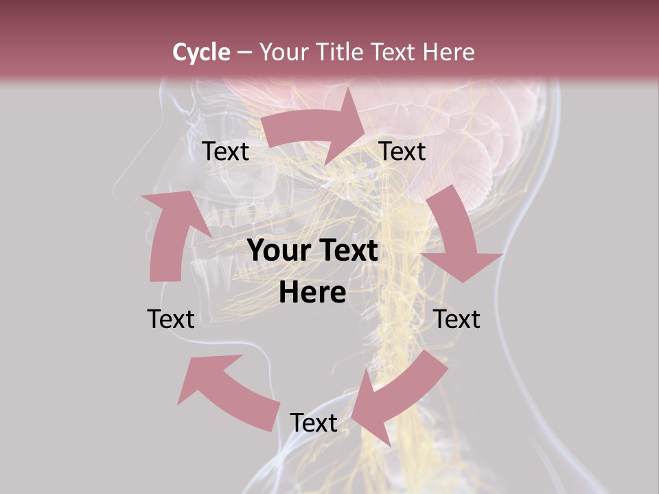 Rebound Head Megrim PowerPoint Template