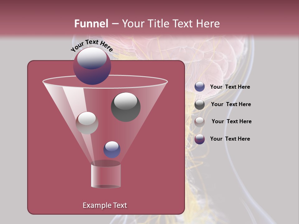 Rebound Head Megrim PowerPoint Template