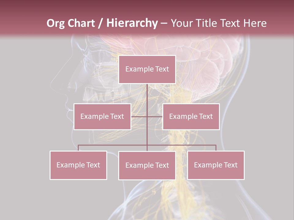 Rebound Head Megrim PowerPoint Template