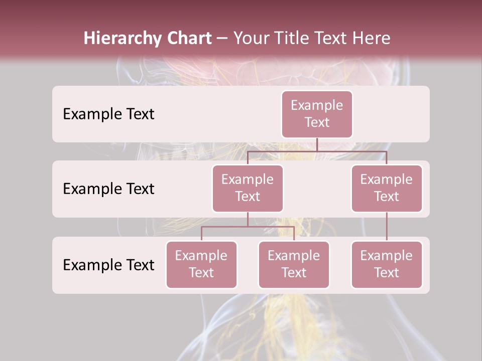 Rebound Head Megrim PowerPoint Template