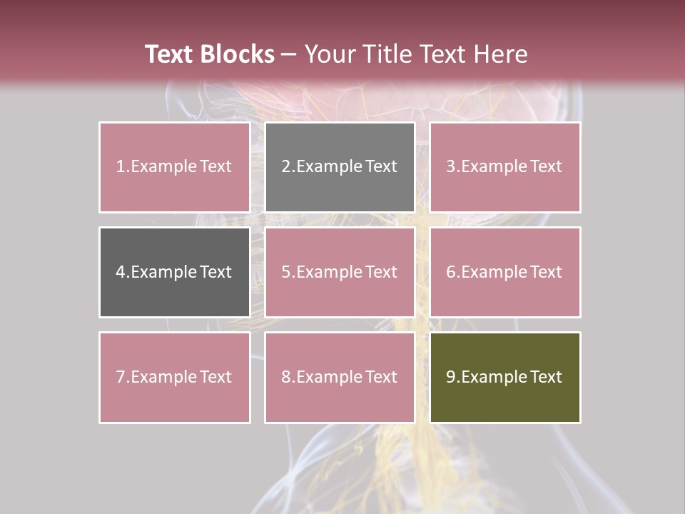 Rebound Head Megrim PowerPoint Template