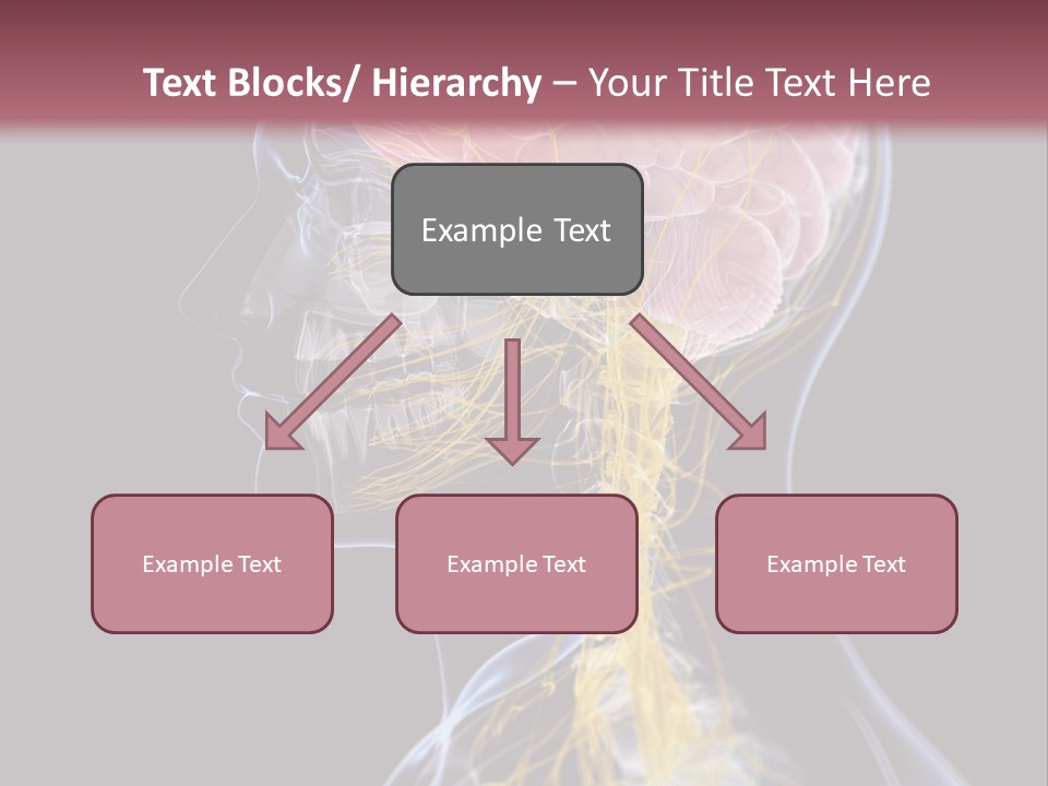 Rebound Head Megrim PowerPoint Template