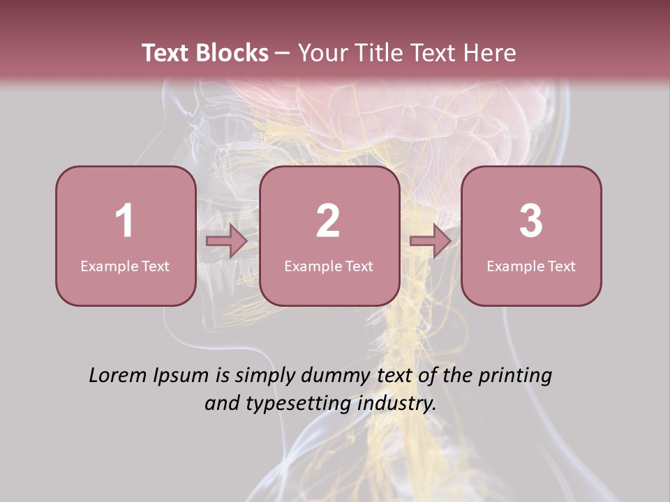 Rebound Head Megrim PowerPoint Template