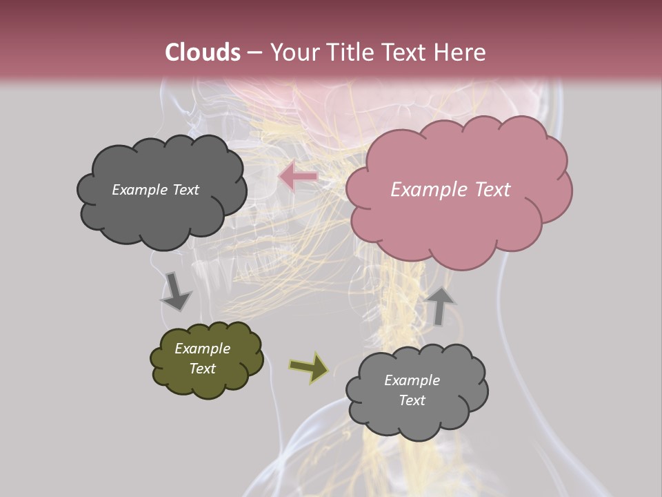 Rebound Head Megrim PowerPoint Template