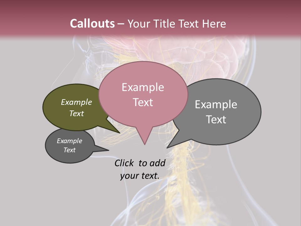 Rebound Head Megrim PowerPoint Template